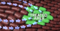 mct_cat_treated_area